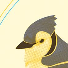 Arrendajo Azul. Un progetto di Design e Illustrazione tradizionale di Gonzalo Rivas - 12.04.2012