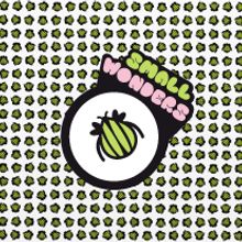 Imágen de marca Small Wonders. Design, and Advertising project by Noelia Rodriguez Rivera - 04.17.2012