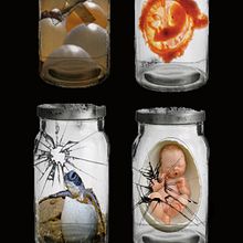 Protección a las tortugas marinas. Projekt z dziedziny  Reklama użytkownika loli anabel siliezar bonilla - 17.12.2012