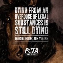 Peta Horses // Print campaign. Een project van Traditionele illustratie y  Reclame van Andrea Aguilar Jiménez - 04.05.2012