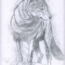 Dibujos de infancia (1998). Traditional illustration project by Joan Lalucat - 05.06.2012
