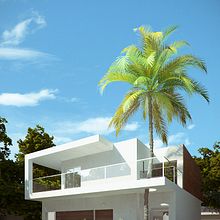 Pitta. 3D project by Dennis Veiga - 05.10.2012