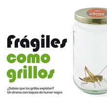 Frágiles como grillos ::: Cartelería y publicidad. Un progetto di Design e Pubblicità di Iolanda Monge Martí - 14.05.2012