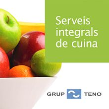 Grup Teno ::: Diseño de imagen corporativa y web. Design project by Iolanda Monge Martí - 05.14.2012