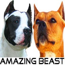 Amazing Beast. Un projet de Design  de Antonio Moreno Barba - 21.05.2012