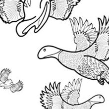Colorea tus sueños / My coloring book of dreams. Traditional illustration project by Jone Larragain - 05.27.2012