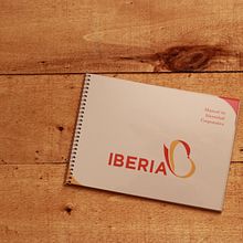 Manual Identidad Corporativa Iberia. Un proyecto de Diseño, Ilustración tradicional y Publicidad de Victor Boscatt - 31.05.2012