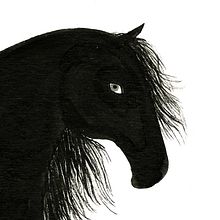 the black stallion. Design, and Traditional illustration project by Coco Escribano - 06.03.2012