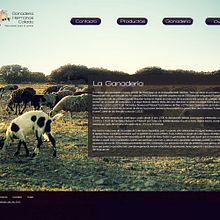 Web Personal de Sarabonillo. Design projeto de Sara Bonillo - 14.06.2012