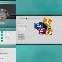 Curriculum. Design projeto de Sara Bonillo - 14.06.2012