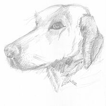 Creando un dibujo . Traditional illustration project by Fernando Ricardo Flores Gómez - 06.15.2012