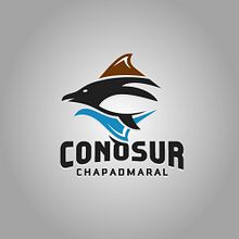 ConoSur_LOGO. Un progetto di Design e Illustrazione tradizionale di Pedro Inchauspe - 25.06.2012
