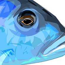 zoo bamako # mali / fishes. Projekt z dziedziny Trad, c i jna ilustracja użytkownika david garcía - 25.06.2012