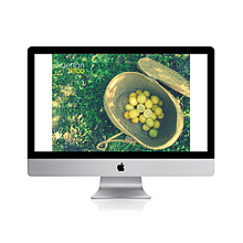 "HUERTANECO". Un proyecto de Diseño y Fotografía de VONDEE - 10.07.2012
