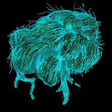 la cuerda que ahoga. Un progetto di Illustrazione tradizionale di Miriam Godoy Pérez - 13.07.2012