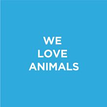 We Love Animals . % Sandra Guerrero tarafından hazırlanan Tasarım, Geleneksel illüstras, Ve on projesi - 07.17.2012