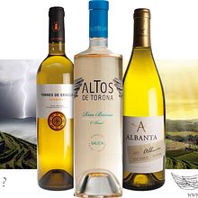 Bodegas Altos de Torona Ein Projekt aus dem Bereich Design und Werbung von Carla Varela Peláez - 25.07.2012