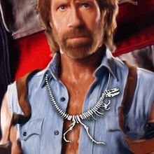 Chuck Norris . Traditional illustration project by pandorco - 07.27.2012