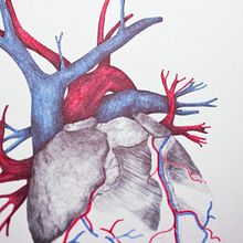 work in progress. Traditional illustration project by lmg - 07.31.2012