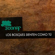 CONAF. Een project van  Reclame van dubik - 05.08.2012