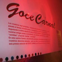 Performance . Photograph project by christ_selis_hernandez - 08.07.2012