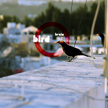 Tracking_Birds. Motion Graphics, Film, Video, and TV project by Alejandro Landero Fernández - 08.12.2012