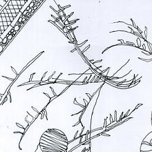 Líneas surrealistas. Traditional illustration project by Sara Fitta - 09.15.2012