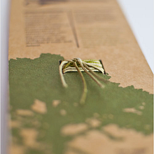 Rediseño packaging. Design, and Advertising project by Glorium Organicus - 09.26.2012