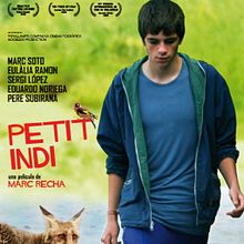  CARTEL DE LA PELÍCULA PETIT INDI. Design, and Advertising project by fernando serra guarch - 11.25.2014