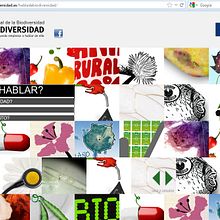 Biodiversidad. Projekt z dziedziny Programowanie użytkownika Ana Pinedo García - 09.10.2012