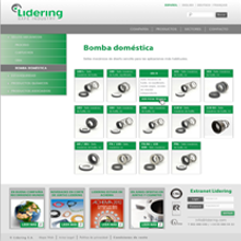 Lidering (2012). Design, IT, and Advertising project by Juan Andrés Moreno Rubio - 10.22.2012