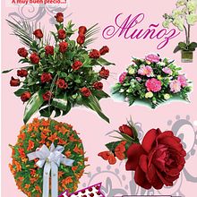 Cartel para la Floristeria Muñoz, Madrid. Design, Traditional illustration, Photograph, and Advertising project by Dana Catruna - 10.30.2012