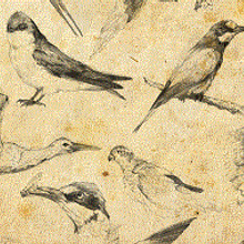 2d. 3D e Ilustração tradicional projeto de Fernando Gaite Thode - 03.11.2012