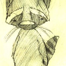 ANIMALS - CHARACTER DESIGN 2012. Een project van  Ontwerp, Traditionele illustratie y Film, video en televisie van David Pavón Benítez - 21.11.2012