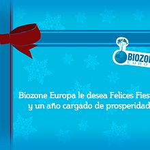 Navidad Biozone Europa. Design project by Ana Victoria Sánchez Moreno - 11.28.2012