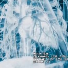 Evolución (TVE Redes). Un proyecto de Cine, vídeo, televisión y 3D de franc_vila - 30.11.2012