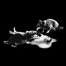 Les Festes de l'Infern. Design, Motion Graphics, Traditional illustration, Film, Video, TV, 3D, Photograph, and Music project by Black Art Syndikat - 12.21.2012