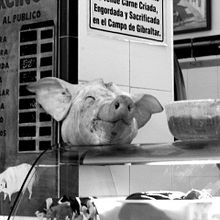 El Mundo. Un projet de Photographie de Almudena Conesa - 14.01.2013