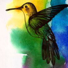 Pajarillos y otras cosas.... Traditional illustration project by Natalia Vera - 01.15.2013