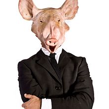 Cerdos. Fotografia projeto de Fotógrafo y diseñador freelance - 29.01.2013