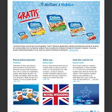 Newsletter Calvo: Te invitamos a probarlo.. Un proyecto de Diseño de Luis Briones - 31.01.2013