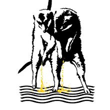 Stencil. Een project van  Ontwerp, Traditionele illustratie y  Reclame van Carlos Huerta Vaquerizo - 06.02.2013