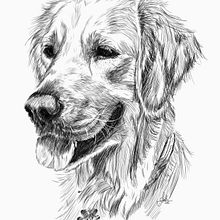 Ilustración a línea . Ilustrație tradițională de ruth_dominguez - 02.18.2013