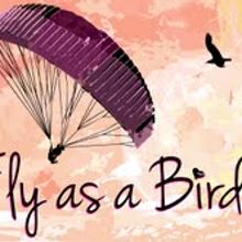 Fly like a Bird. Design & IT project by Joel Astete - 03.21.2013