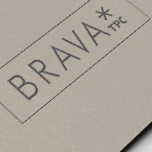BRAVA TPC. Advertising, and Design project by Francesc Risalde - 03.27.2013