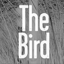 The bird. 3D, Film, Video, TV, Motion Graphics, UX / UI, Design, and Music project by Rafa Cabrera Jiménez - 04.18.2013