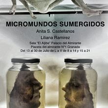 Micromundos sumergidos.  project by Anita S. Castellanos - 04.18.2013