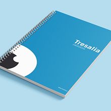 Cubiertas de libretas. Design project by Laura Buenasmañanas Linares - 04.18.2013