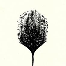 Ainara LeGardon. Un progetto di Design e Illustrazione tradizionale di Rafael Jaramillo - 22.04.2012