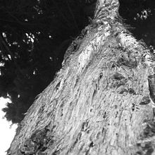 Fotografía(5). Un projet de Photographie de Aitor Merchán Zabaleta - 26.04.2013